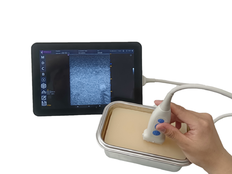 Medical Biomimetic Training Model