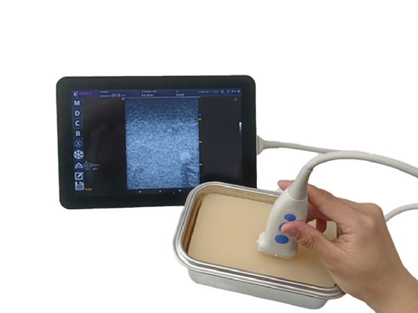 Medical Biomimetic Training Model